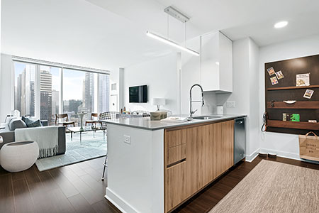 Luxury Living Chicago Realty
